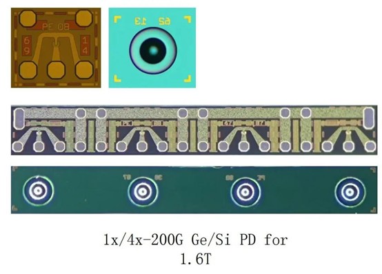 SiFotonics携单波200G收/发硅光芯片参展CIOE