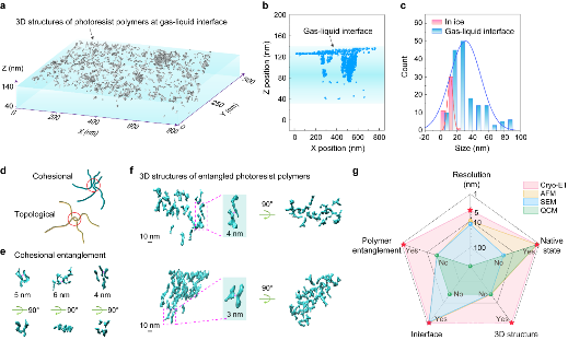 新方法“透视”光刻胶微观行为 可显著减少芯片光刻缺陷