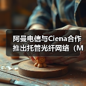 阿曼电信与Ciena合作推出托管光纤网络(MOFN)服务(图2) 阿曼电信与Ciena合作推出托管光纤网络(MOFN)服务(图2)