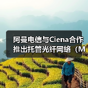 阿曼电信与Ciena合作推出托管光纤网络(MOFN)服务(图4) 阿曼电信与Ciena合作推出托管光纤网络(MOFN)服务(图4)