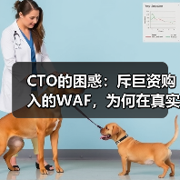 CTO的困惑:斥巨资购入的WAF,为何在真实攻击前依然“裸奔”?(图2) CTO的困惑:斥巨资购入的WAF,为何在真实攻击前依然“裸奔”?(图2)