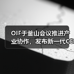 OIF于釜山会议推进产业协作,发布新一代CEI-448G电接口基础框架(图2) OIF于釜山会议推进产业协作,发布新一代CEI-448G电接口基础框架(图2)