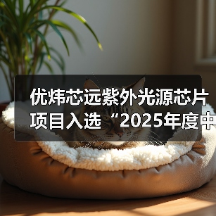 优炜芯远紫外光源芯片项目入选“2025年度中国第三代半导体技术十大进展”(图1) 优炜芯远紫外光源芯片项目入选“2025年度中国第三代半导体技术十大进展”(图1)