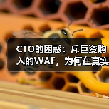 CTO的困惑:斥巨资购入的WAF,为何在真实攻击前依然“裸奔”?(图1) CTO的困惑:斥巨资购入的WAF,为何在真实攻击前依然“裸奔”?(图1)