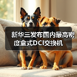 新华三发布国内最高密度盒式DCI交换机(图3) 新华三发布国内最高密度盒式DCI交换机(图3)
