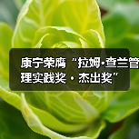 康宁荣膺“拉姆·查兰管理实践奖 · 杰出奖”(图3) 康宁荣膺“拉姆·查兰管理实践奖 · 杰出奖”(图3)
