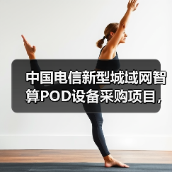 中国电信新型城域网智算POD设备采购项目,首次引入400G端口(图4) 中国电信新型城域网智算POD设备采购项目,首次引入400G端口(图4)