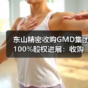 东山精密收购GMD集团100%股权进展：收购及债务重组已顺利交割（图4）