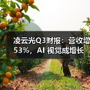 凌云光Q3财报：营收增 53%，AI 视觉成增长核心引擎（图2）