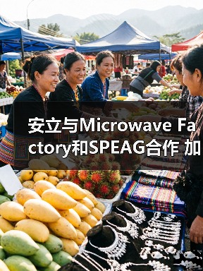 安立与Microwave Factory和SPEAG合作 加速5G/LTE终端设备的SAR测量(图2) 安立与Microwave Factory和SPEAG合作 加速5G/LTE终端设备的SAR测量(图2)