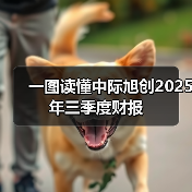 一图读懂中际旭创2025年三季度财报（图2）