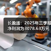 长盈通:2025年三季报净利润为3078.63万元(图2) 长盈通:2025年三季报净利润为3078.63万元(图2)