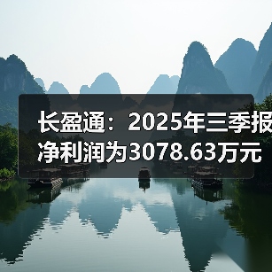 长盈通：2025年三季报净利润为3078.63万元