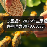 长盈通:2025年三季报净利润为3078.63万元(图3) 长盈通:2025年三季报净利润为3078.63万元(图3)
