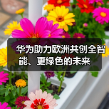 华为助力欧洲共创全智能、更绿色的未来（图4）