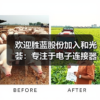 欢迎胜蓝股份加入和光荟：专注于电子连接器、线束组件、精密零部
