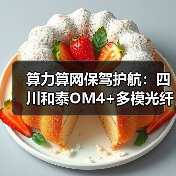 算力算网保驾护航：四川和泰OM4+多模光纤（图2）