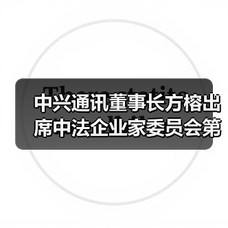 中兴通讯董事长方榕出席中法企业家委员会第七次会议(图2) 中兴通讯董事长方榕出席中法企业家委员会第七次会议(图2)