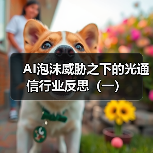 AI泡沫威胁之下的光通信行业反思（一）（图3）
