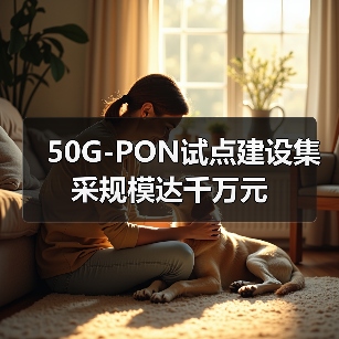 50G-PON试点建设集采规模达千万元（图4）