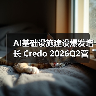 AI基础设施建设爆发增长 Credo 2026Q2营收激增272.1%（图4）