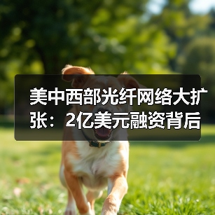 美中西部光纤网络大扩张：2亿美元融资背后的布局（图2）