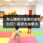 东山精密H股发行进程如何？募资方向曝光（图3）