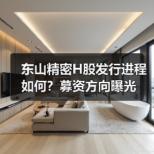 东山精密H股发行进程如何？募资方向曝光（图4）