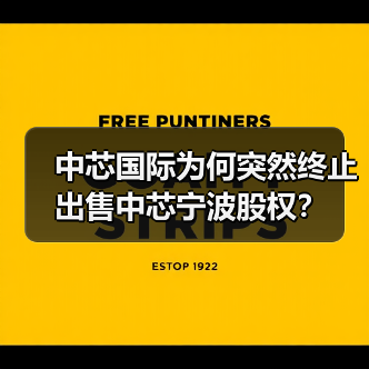 中芯国际为何突然终止出售中芯宁波股权？