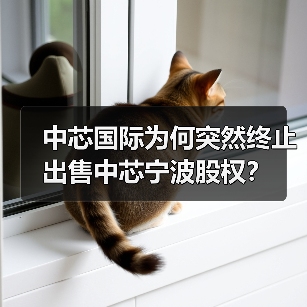 中芯国际为何突然终止出售中芯宁波股权？（图4）