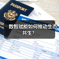 数智赋能如何推动生态共生？