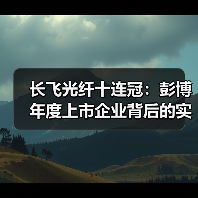 长飞光纤十连冠：彭博年度上市企业背后的实力（图2）