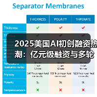 2025美国AI初创融资热潮：亿元级融资与多轮投资新趋势（图3）