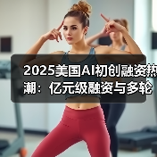 2025美国AI初创融资热潮：亿元级融资与多轮投资新趋势（图4）