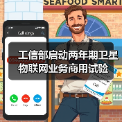 工信部启动两年期卫星物联网业务商用试验（图2）