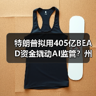 特朗普拟用405亿BEAD资金撬动AI监管?州法律或遭冲击(图3) 特朗普拟用405亿BEAD资金撬动AI监管?州法律或遭冲击(图3)