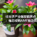 硅光子产业爆发临界点：格芯收购AMF推动竞争格局重构