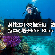 英伟达Q3财报爆棚：数据中心增长66% Blackwell GPU紧俏（图3）
